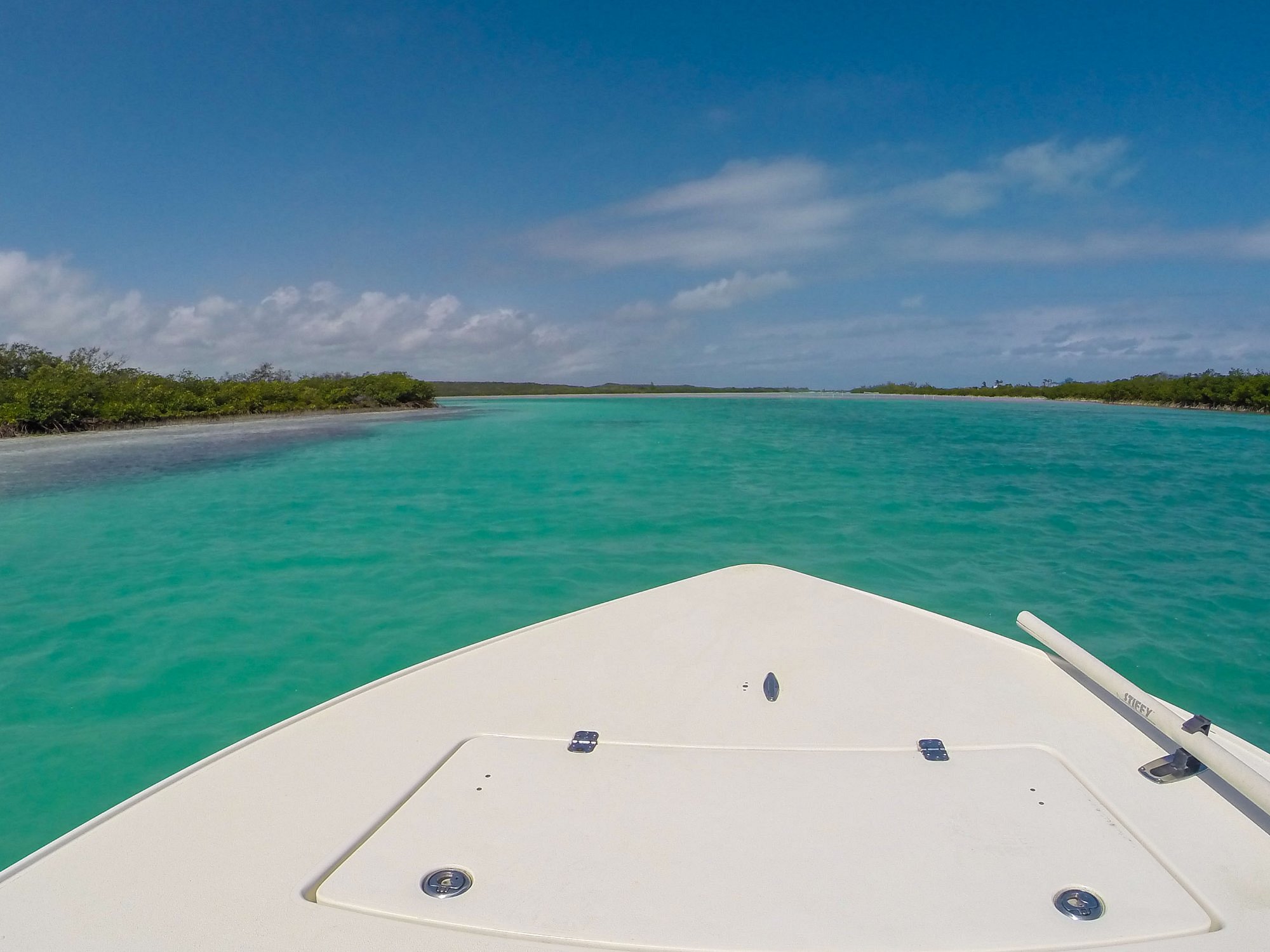 Beautiful Water