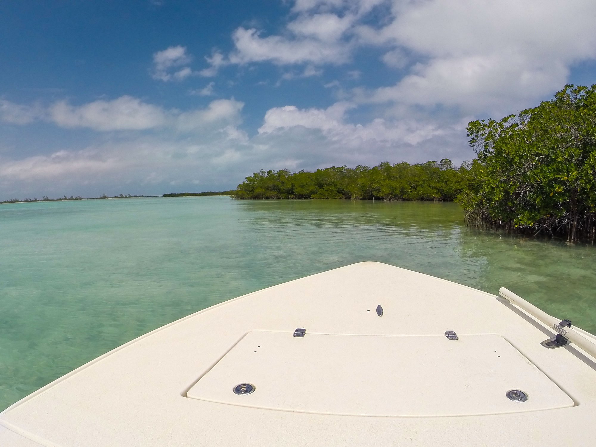 Fishing Along The Mangroves