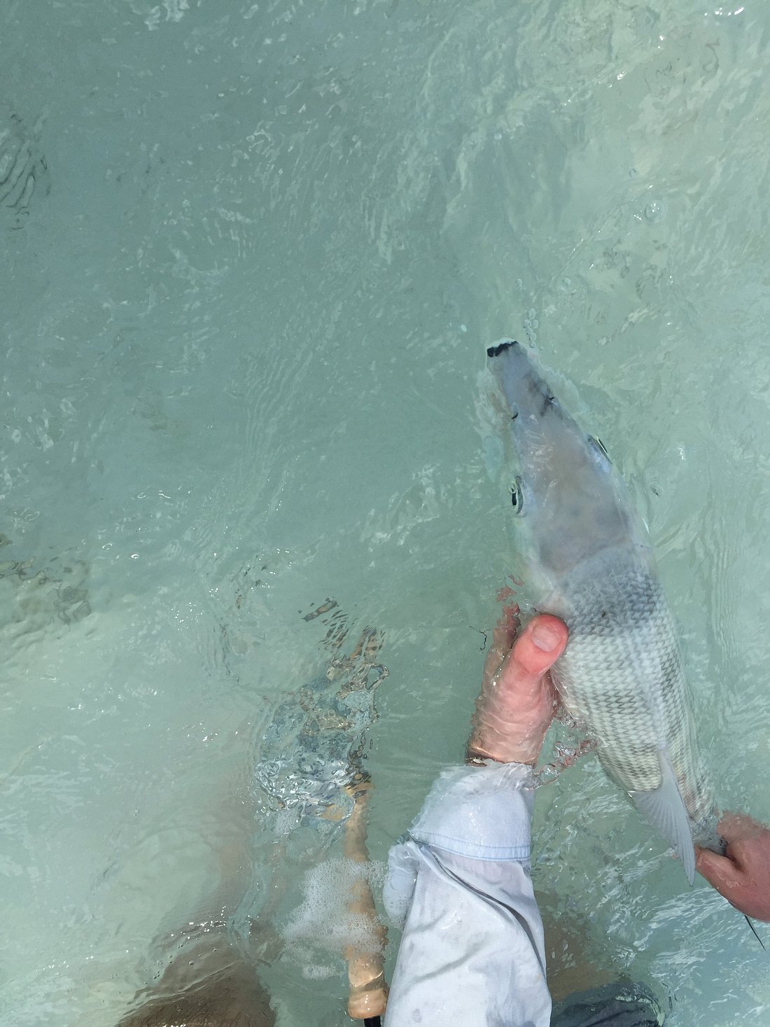 Gentle Release